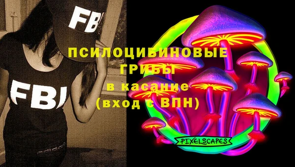 трава Кулебаки