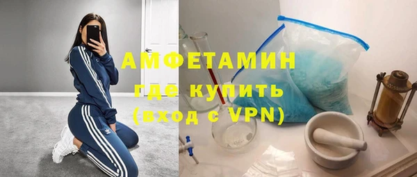 сатива Кукмор