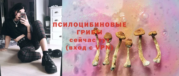 сатива Кукмор