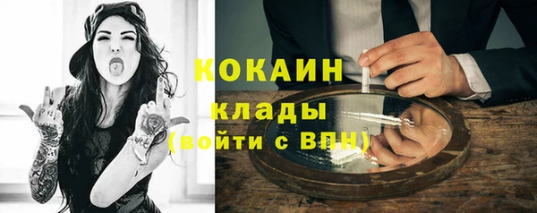 сатива Кукмор