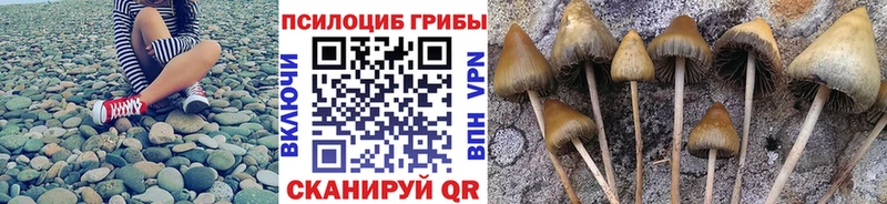 где продают наркотики  Нижневартовск  Галлюциногенные грибы мухоморы 